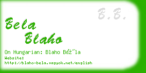 bela blaho business card